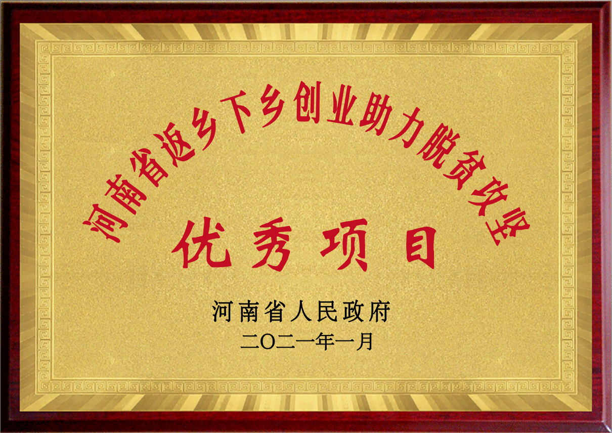 河南返乡下乡优秀项目