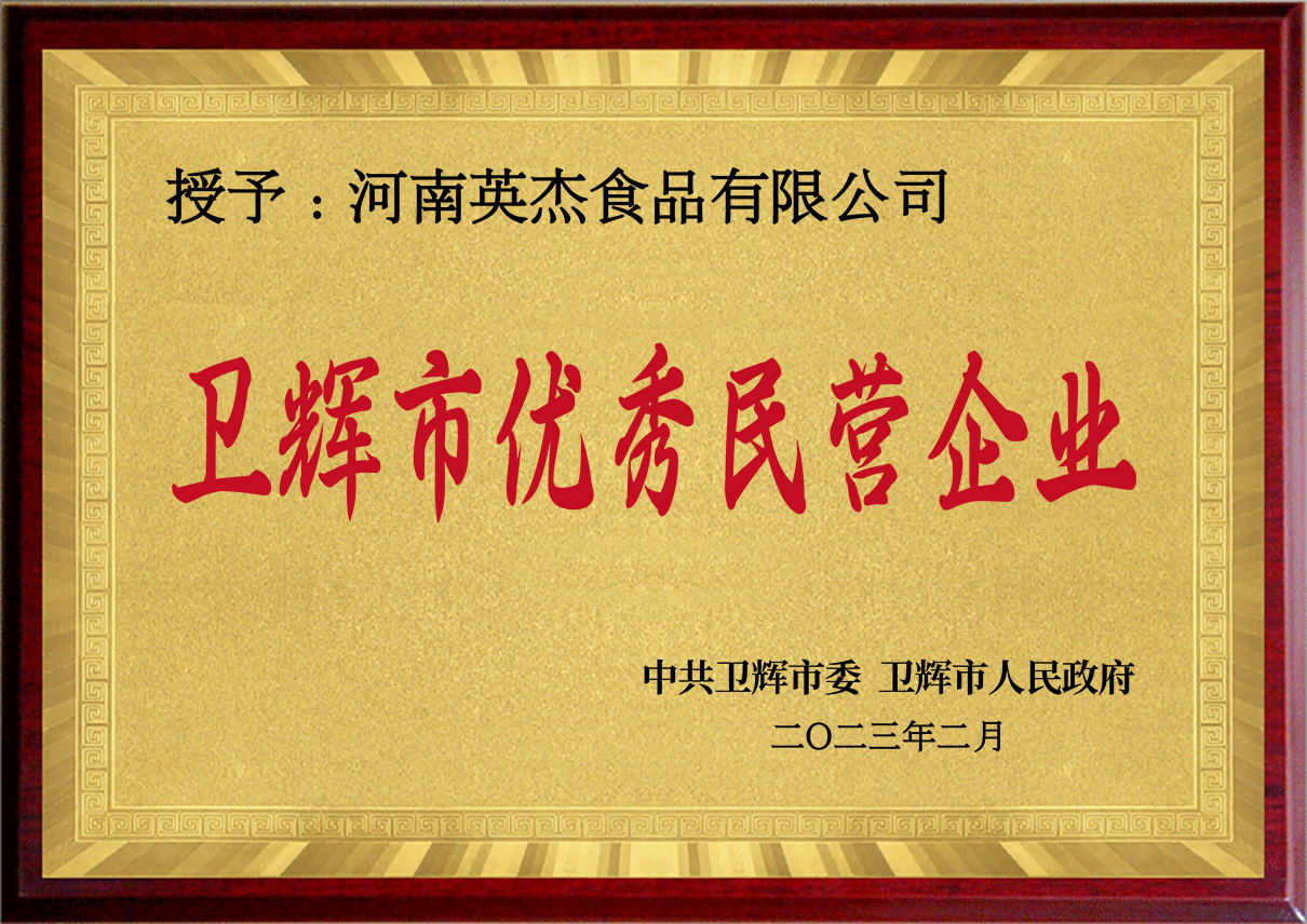 卫辉优秀民营企业
